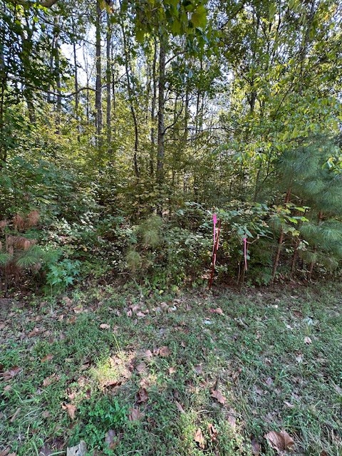 0 Chalk Hill Church Road Camden, TN 38320 - Photo 39 of 57 a view of a forest with a bench and trees