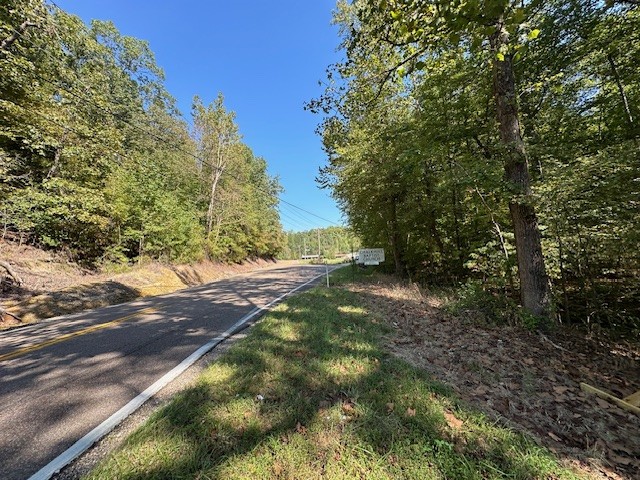 0 Chalk Hill Church Road Camden, TN 38320 - Photo 41 of 57