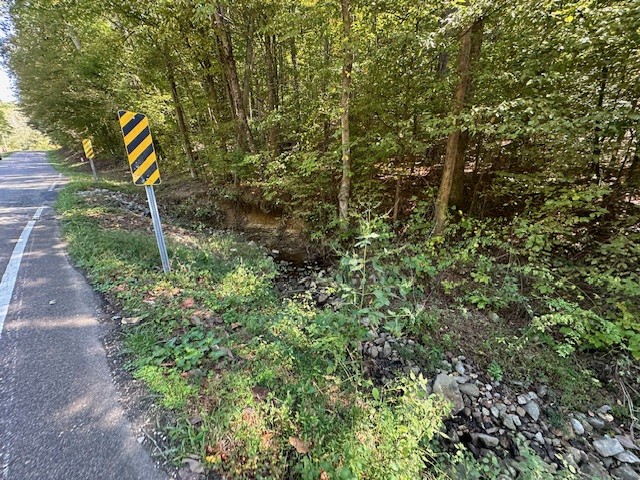 0 Chalk Hill Church Road Camden, TN 38320 - Photo 51 of 57 a plant view in yard