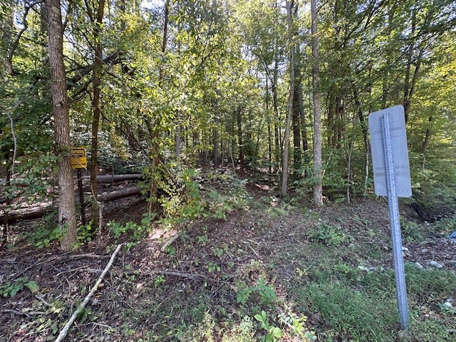 0 Chalk Hill Church Road Camden, TN 38320 - Photo 53 of 57 a backyard of a house with lots of plants and large trees