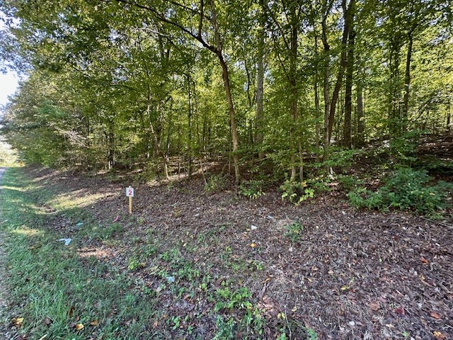 0 Chalk Hill Church Road Camden, TN 38320 - Photo 55 of 57 a view of a forest that has a tree