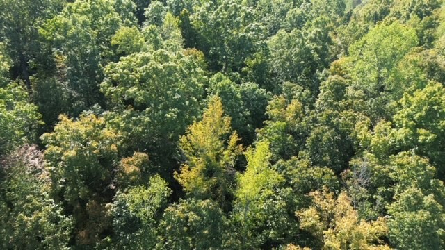 0 Chalk Hill Church Road Camden, TN 38320 - Photo 6 of 57