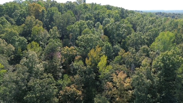 0 Chalk Hill Church Road Camden, TN 38320 - Photo 8 of 57 an aerial view of forest