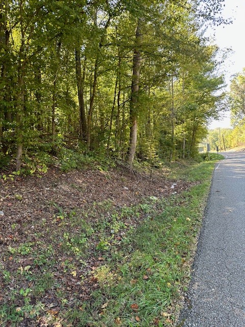 0 Chalk Hill Church Road Camden, TN 38320 - Photo 9 of 57 a view of a forest with trees