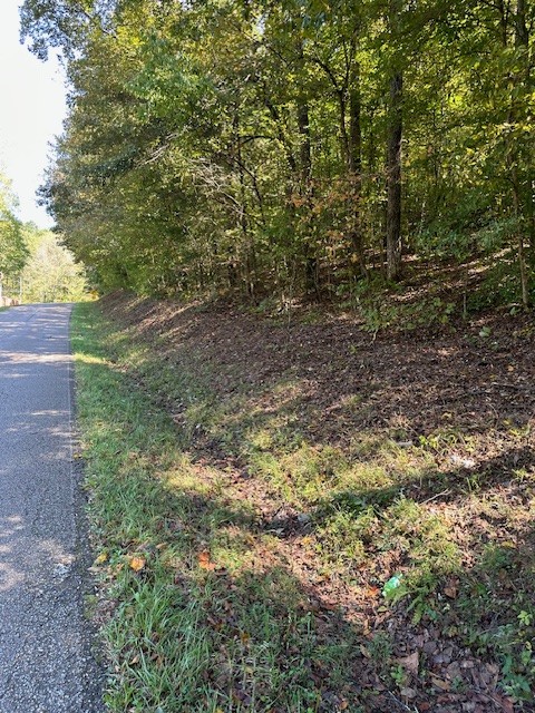 0 Chalk Hill Church Road Camden, TN 38320 - Photo 10 of 57 a view of a forest with trees in the background