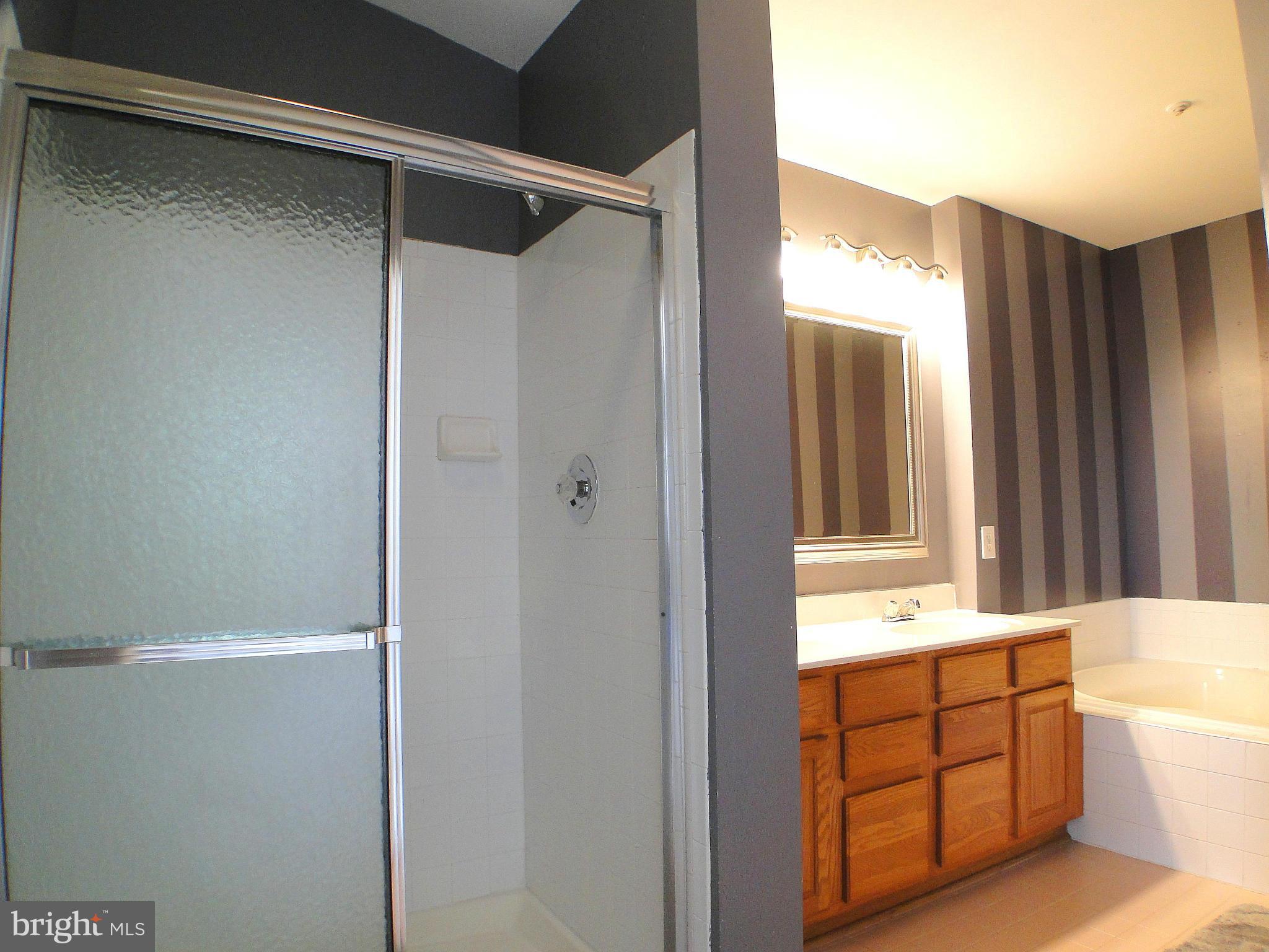 4200 Maple Path Circle, Unit 34 Baltimore, MD 21236 - Photo 25 of 30 Separate Shower