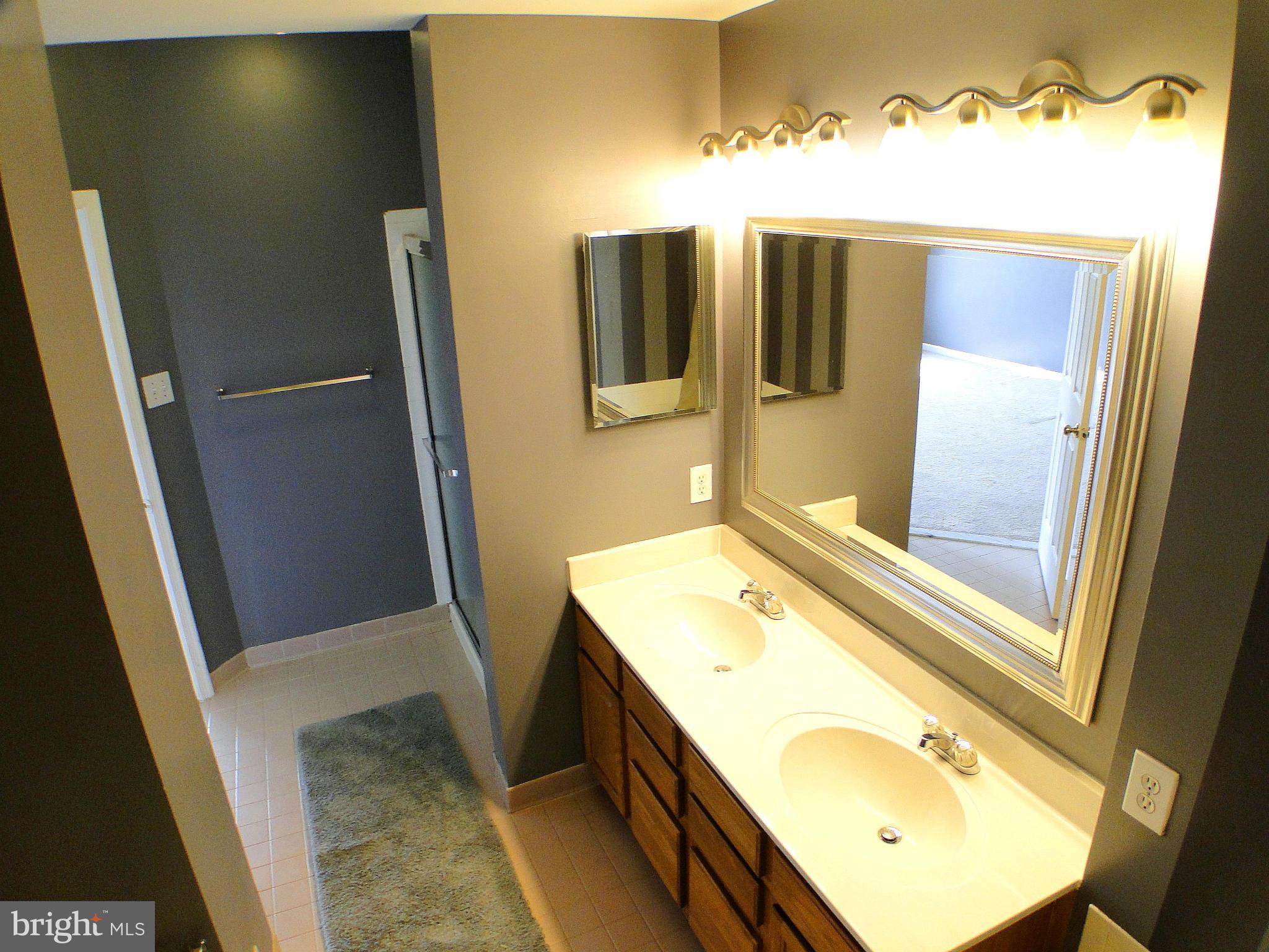 4200 Maple Path Circle, Unit 34 Baltimore, MD 21236 - Photo 26 of 30 Dual Sinks