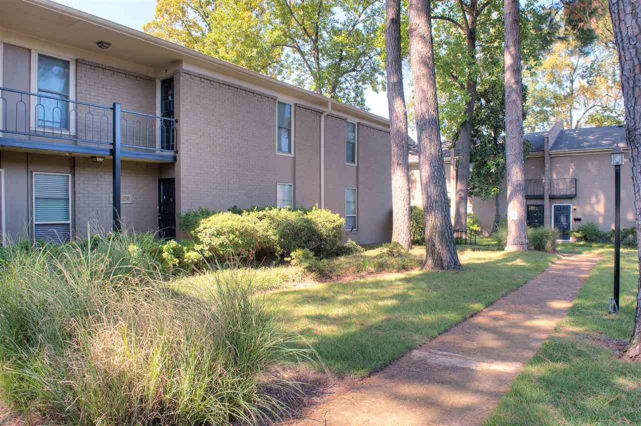 983 June Road, Unit 1 Memphis, TN 38119 - Photo 1 of 14 RARE 3BR, 2 Bath DOWNSTAIRS FLAT! NO STEPS! GATED community in the heart of East Memphis. New Carpet/New Paint! Tile/Laminate flooring. Pool and Clubhouse nearby.