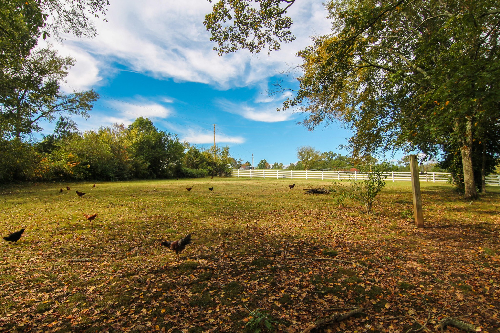 419 Shrader Road Dandridge, TN 37725 - Photo 5 of 33 Gallery Image 5