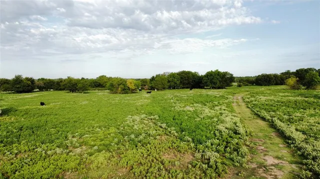 a view of a grassy field