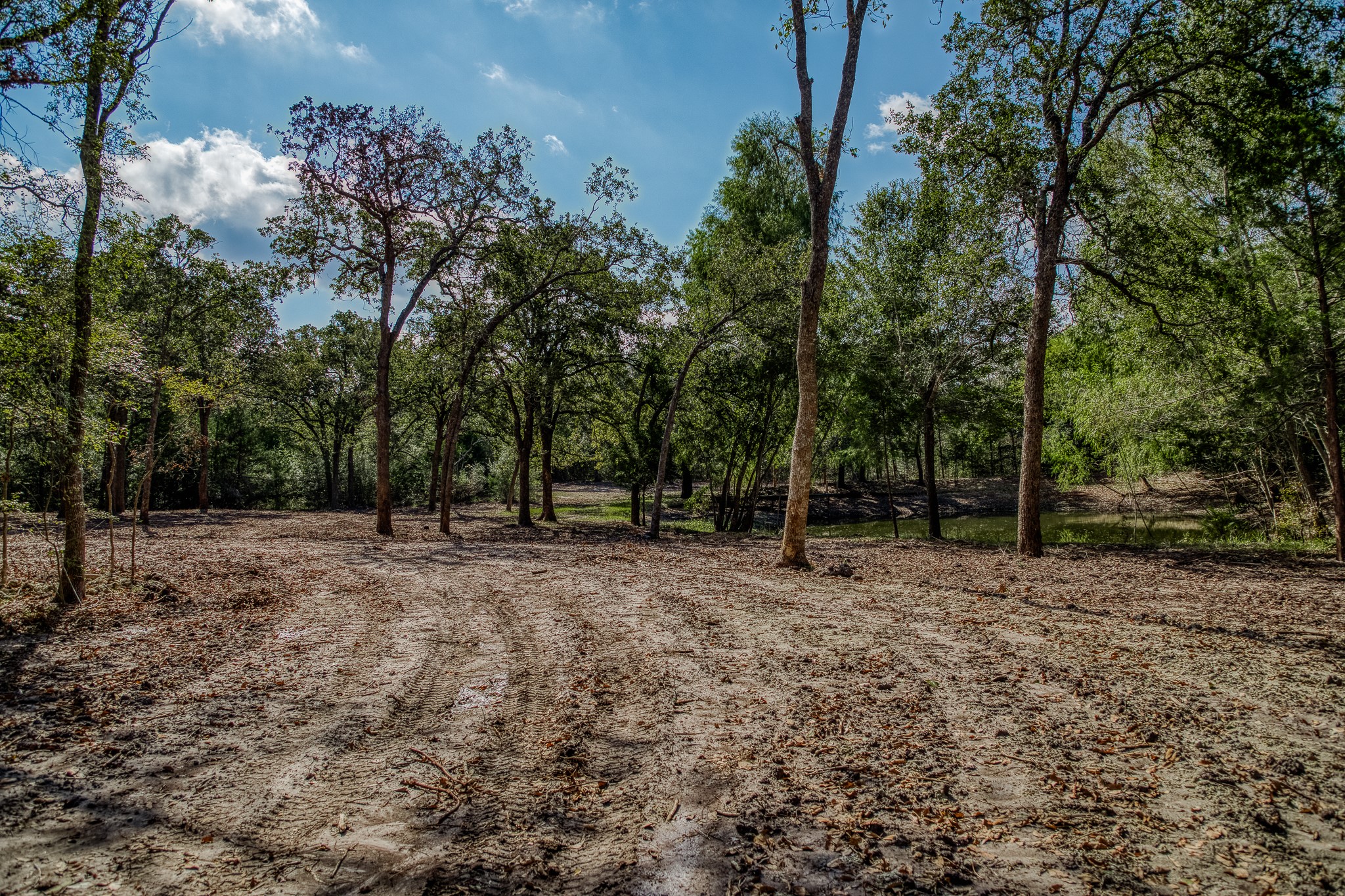 6 Sun Oil Road Brenham, TX 77833 - Photo 14 of 34 a view of outdoor space with trees