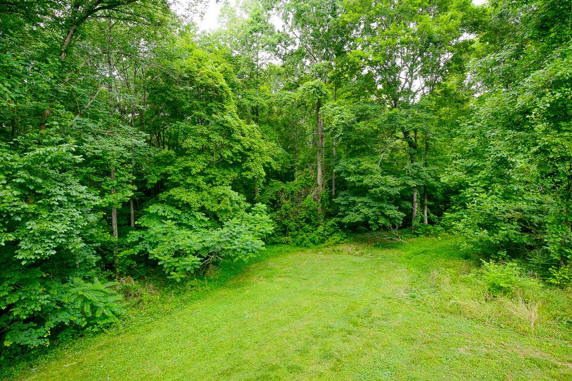 1254 Primm Road Ashland City, TN 37015 - Photo 4 of 30 Gallery Image 4