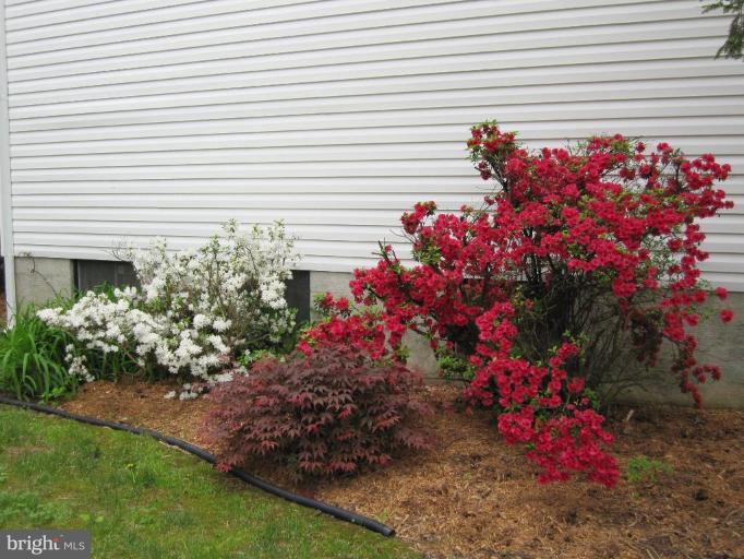 61 Boxthorn Road Abingdon, MD 21009 - Photo 17 of 17 Other #4
