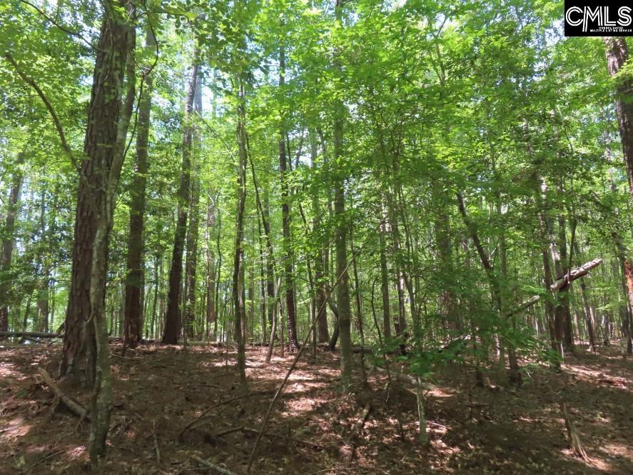 0 Park Road Ridgeway, SC 29130 - Photo 24 of 47