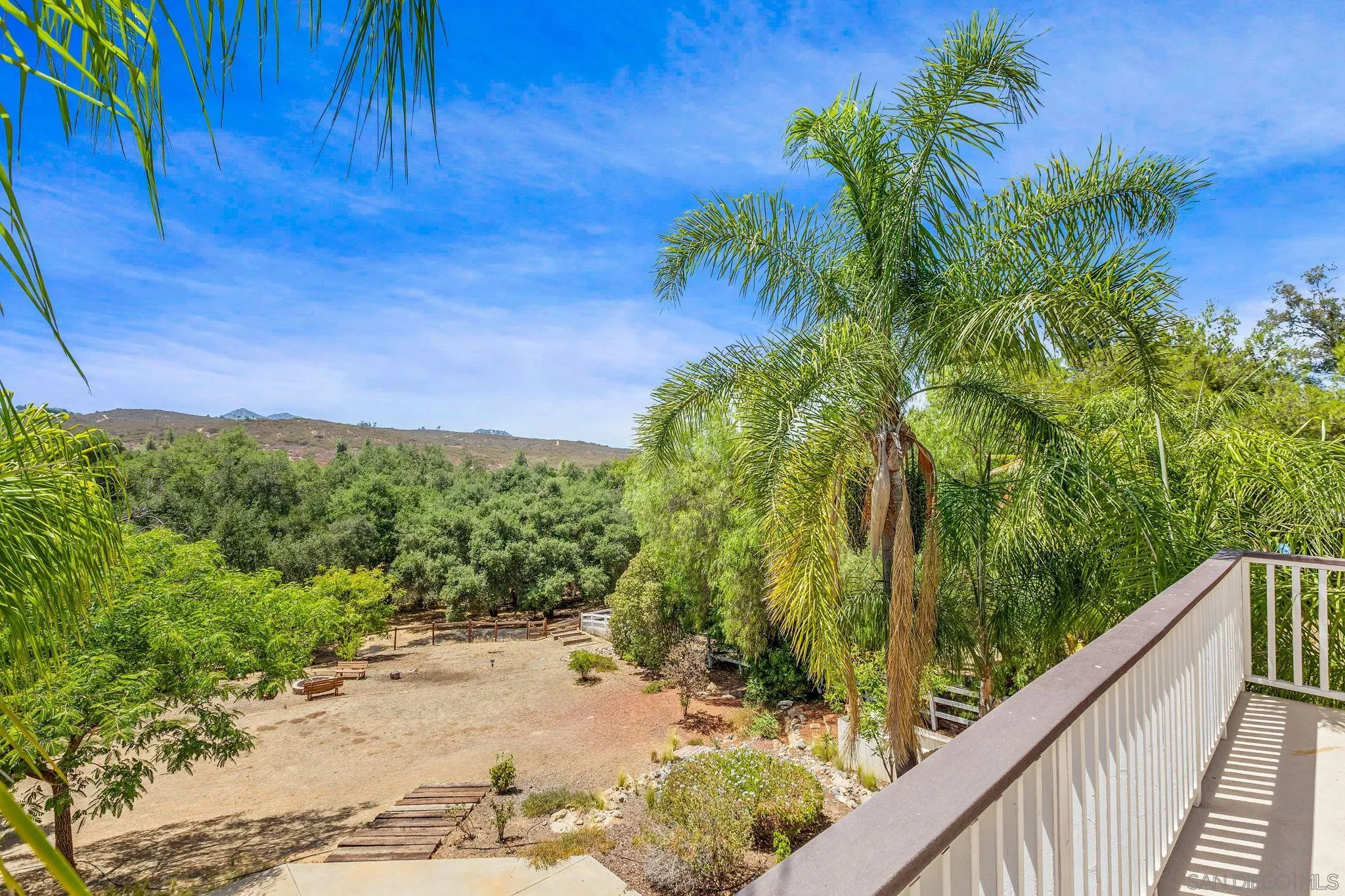 25919 Matlin Road Ramona, CA 92065 - Photo 23 of 42 a view of a yard with plants