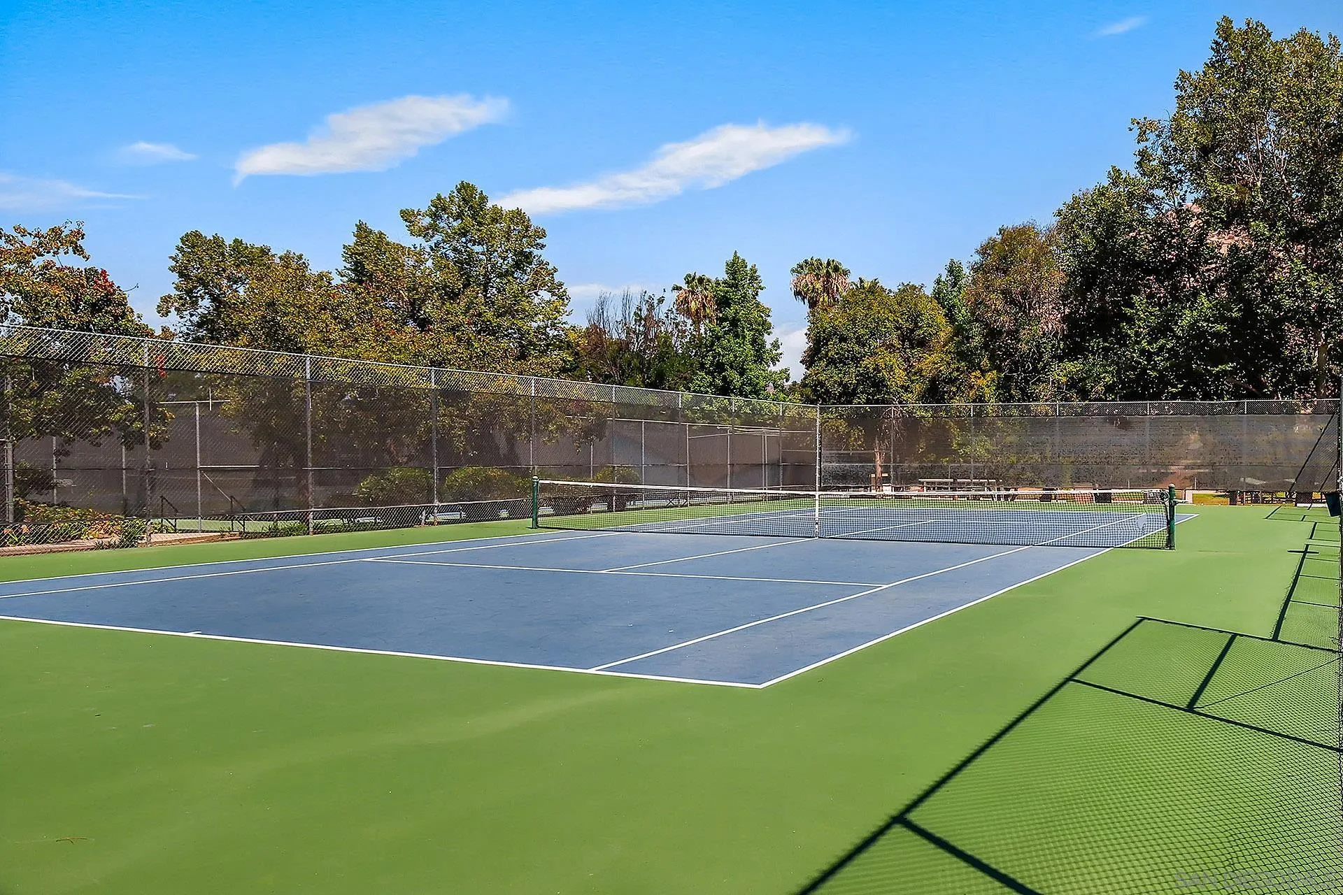 25919 Matlin Road Ramona, CA 92065 - Photo 39 of 42 a view of swimming pool with a big yard and large trees