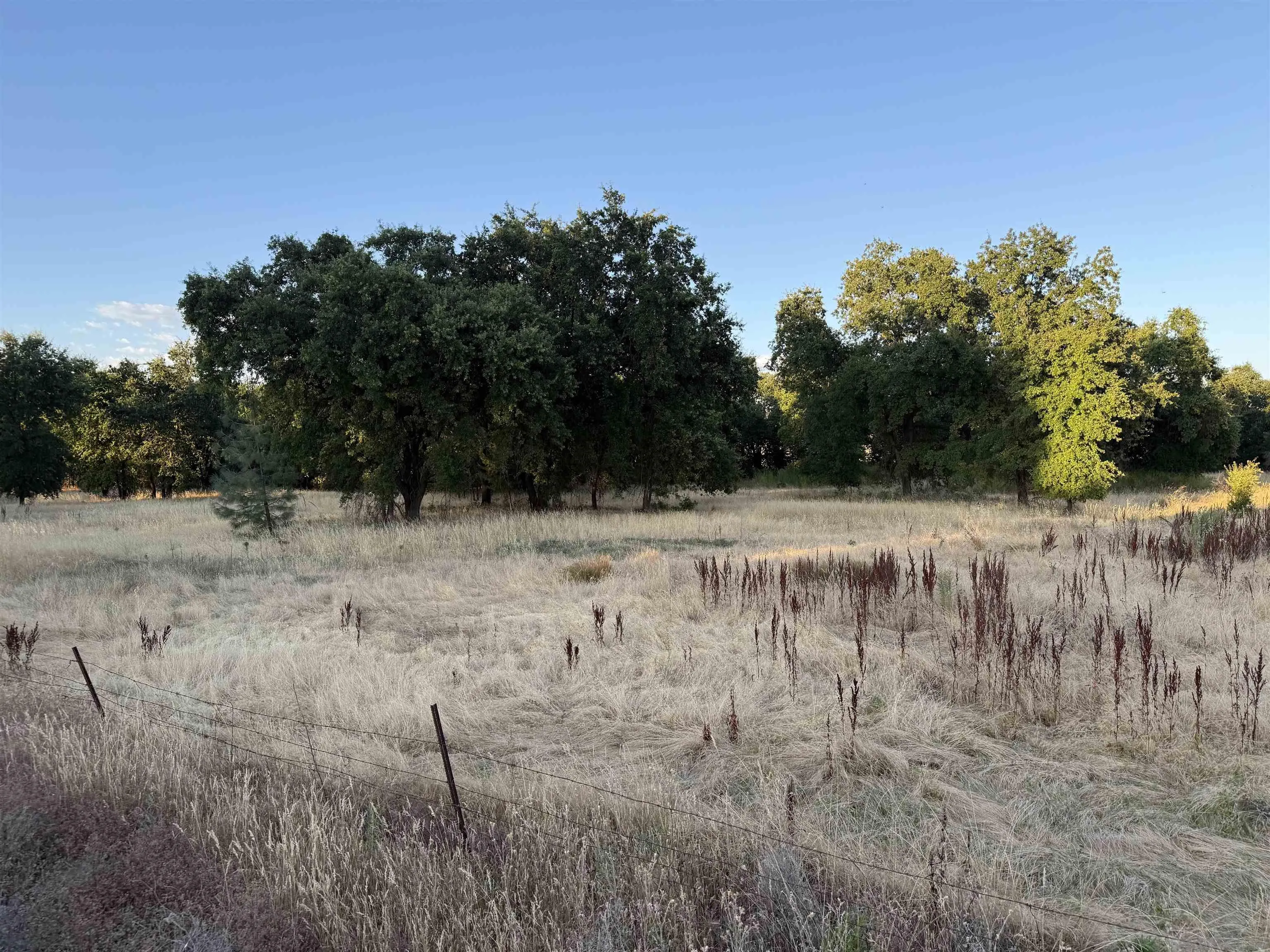 0 Clark Road, Unit 58 Oroville, CA 95965 - Photo 2 of 15 Gallery Image 2