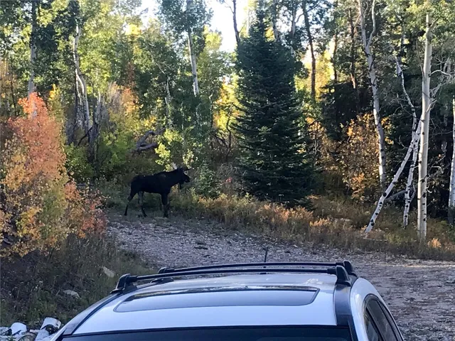 $625,000 | 51750 Quaker Mountain Circle North, Hayden, CO 81639