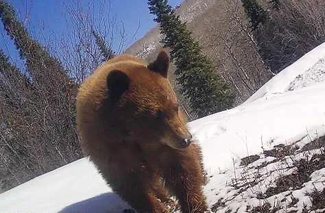 $625,000 | 51750 Quaker Mountain Circle North, Hayden, CO 81639