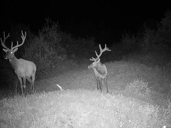 $625,000 | 51750 Quaker Mountain Circle North, Hayden, CO 81639