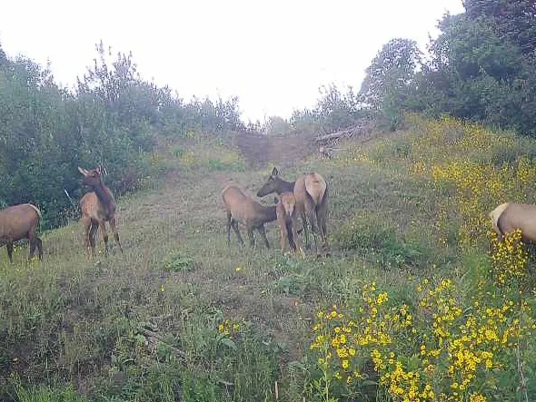 $625,000 | 51750 Quaker Mountain Circle North, Hayden, CO 81639