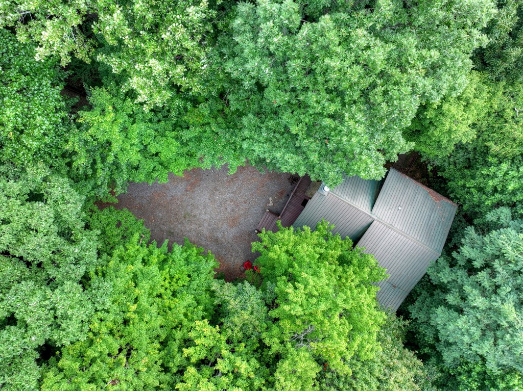 541 Little Bushy Head Road Blue Ridge, GA 30513 - Photo 11 of 45 Gallery Image 11