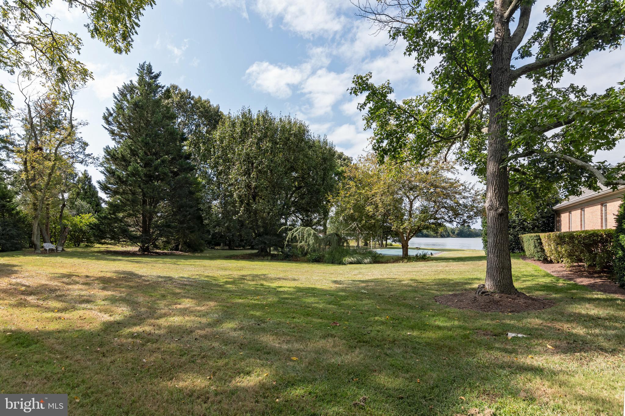 9338 Bantry Road Easton, MD 21601 - Photo 9 of 43 a view of a trees with a big yard