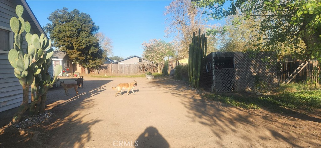 245 North 3rd Street Shandon, CA 93461 - Photo 16 of 21