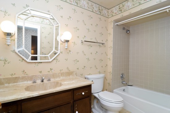 44 Park Lane, Unit 324 Park Ridge, IL 60068 - Photo 13 of 15 a bathroom with a sink a toilet and shower