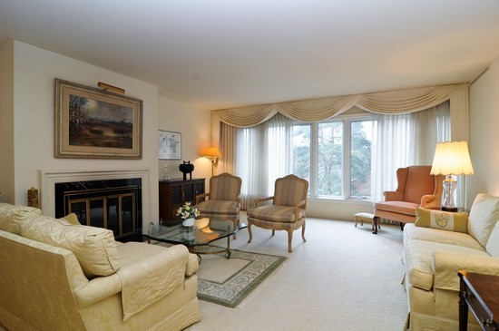 44 Park Lane, Unit 324 Park Ridge, IL 60068 - Photo 3 of 15 a living room with furniture fireplace and large windows