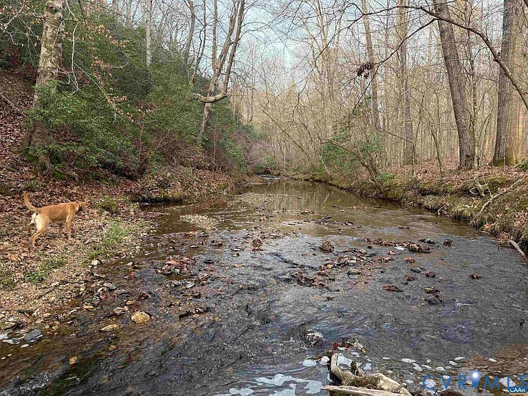 0 Paynes Pond Road Scottsville, VA 24590 - Photo 4 of 44
