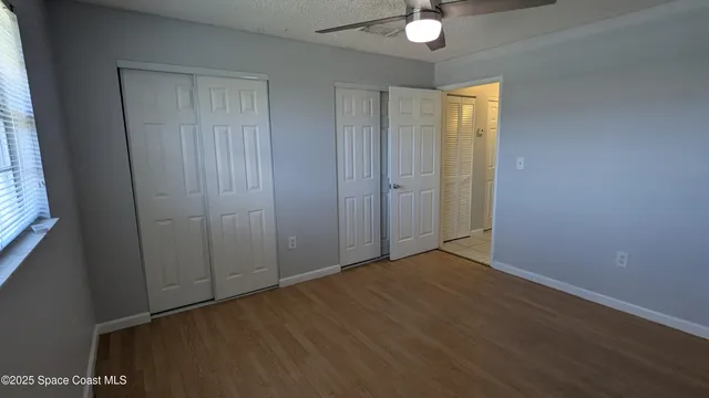 a view of a garden with plants and a pathway