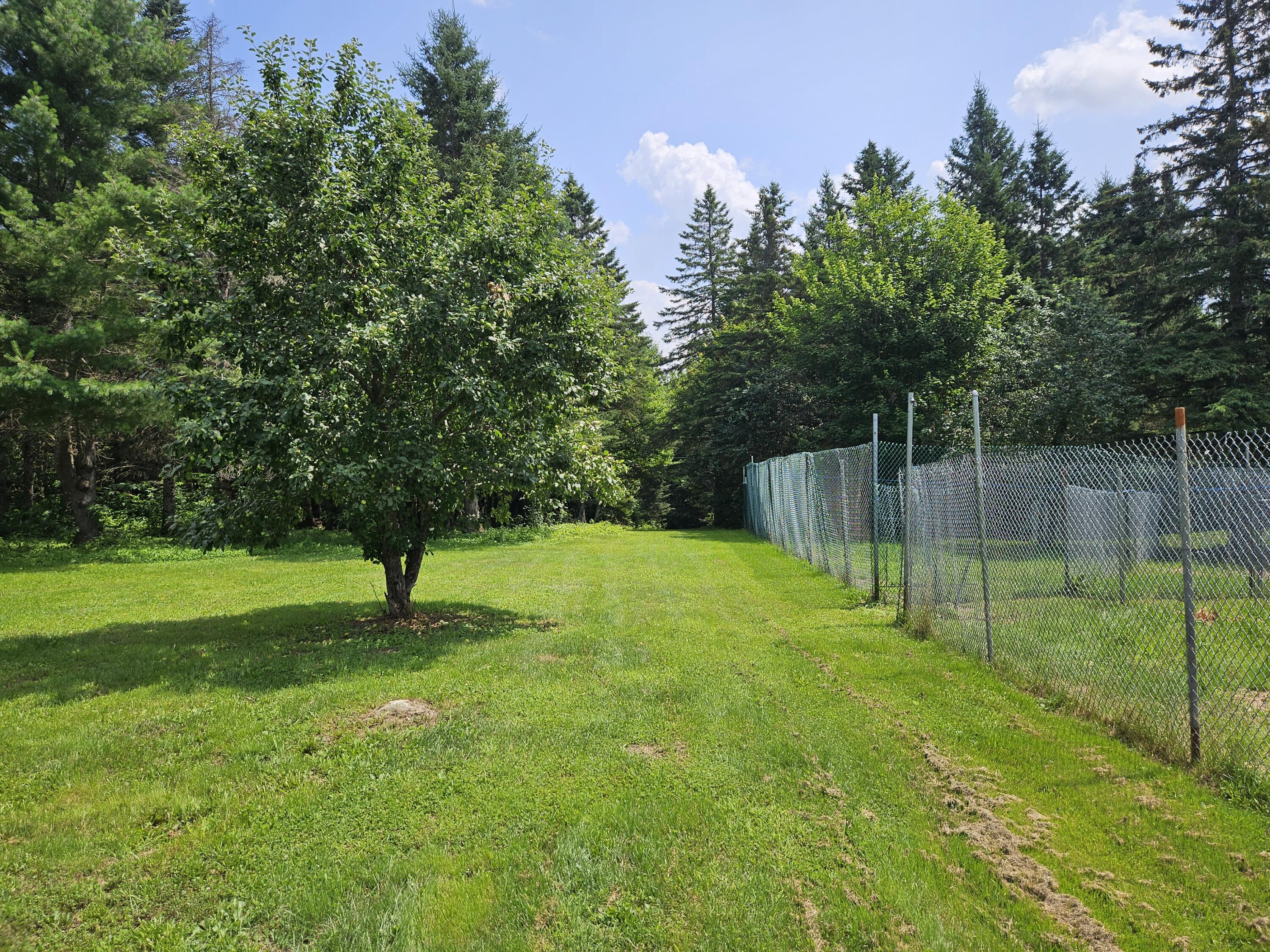 34 N Road Shirley Mills, ME 04485 - Photo 37 of 47 Apple trees