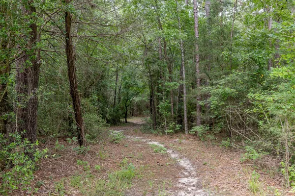 $2,495,000 | 17042 Highway 21, Grapeland, TX 75844