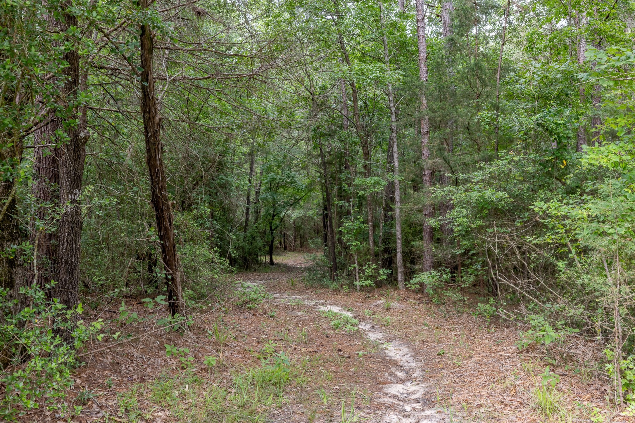 17042 Highway 21 Grapeland, TX 75844 - Photo 45 of 47