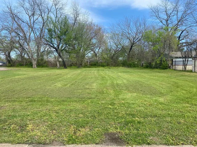 a view of a field with trees