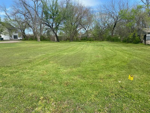 a view of a field with trees in the background