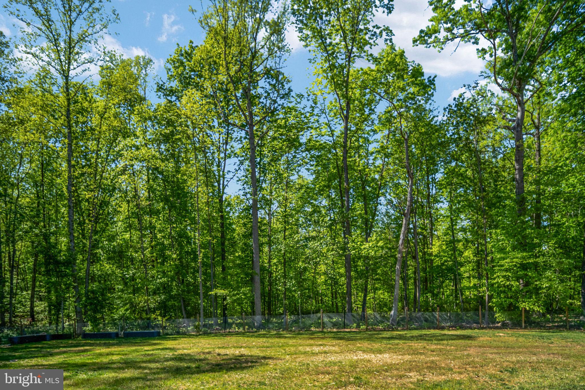 52 Acorn Ridge Court Fredericksburg, VA 22406 - Photo 88 of 101 Backyard