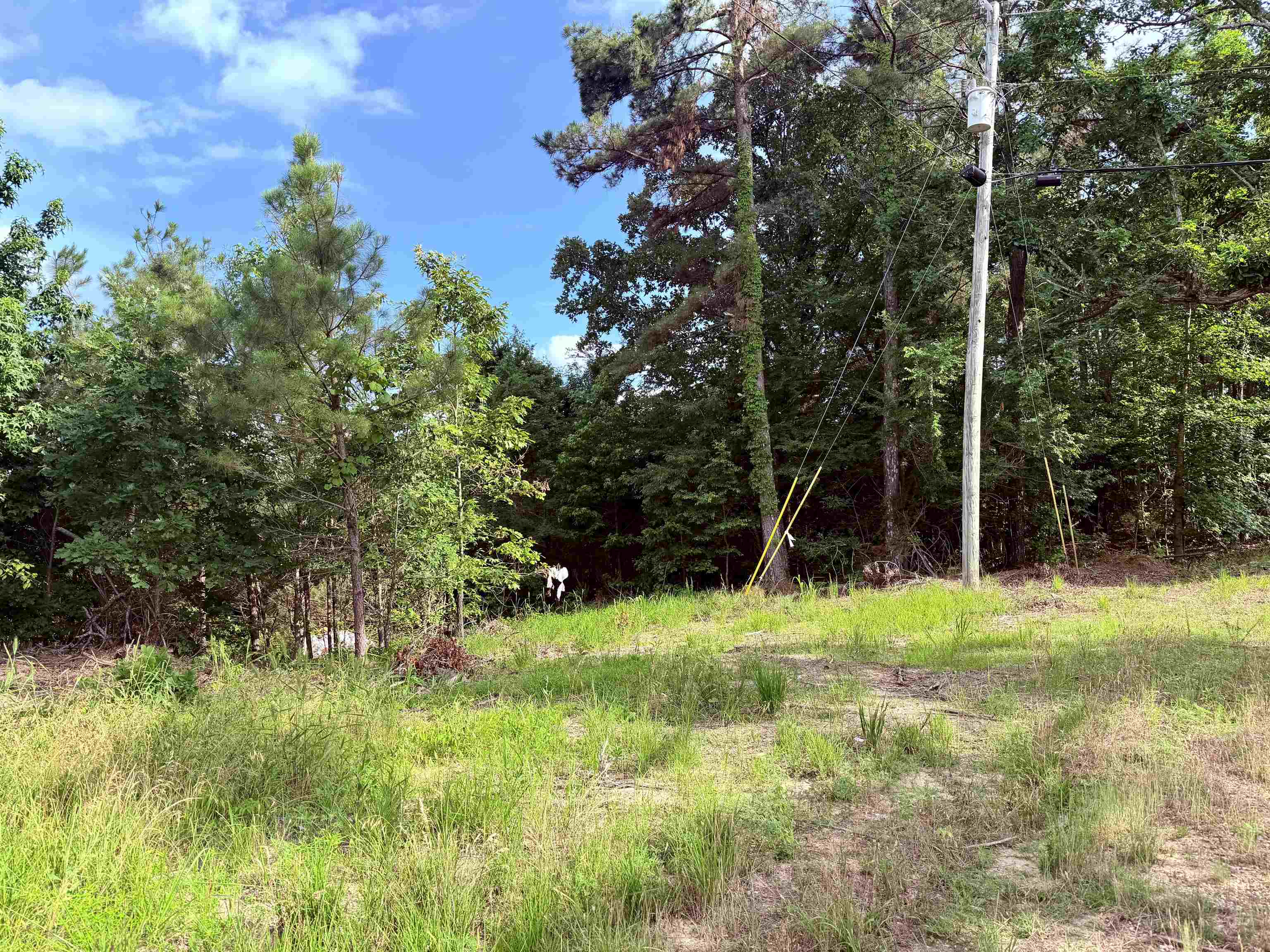 950 Feddie Davis Road Ramer, TN 38367 - Photo 4 of 6