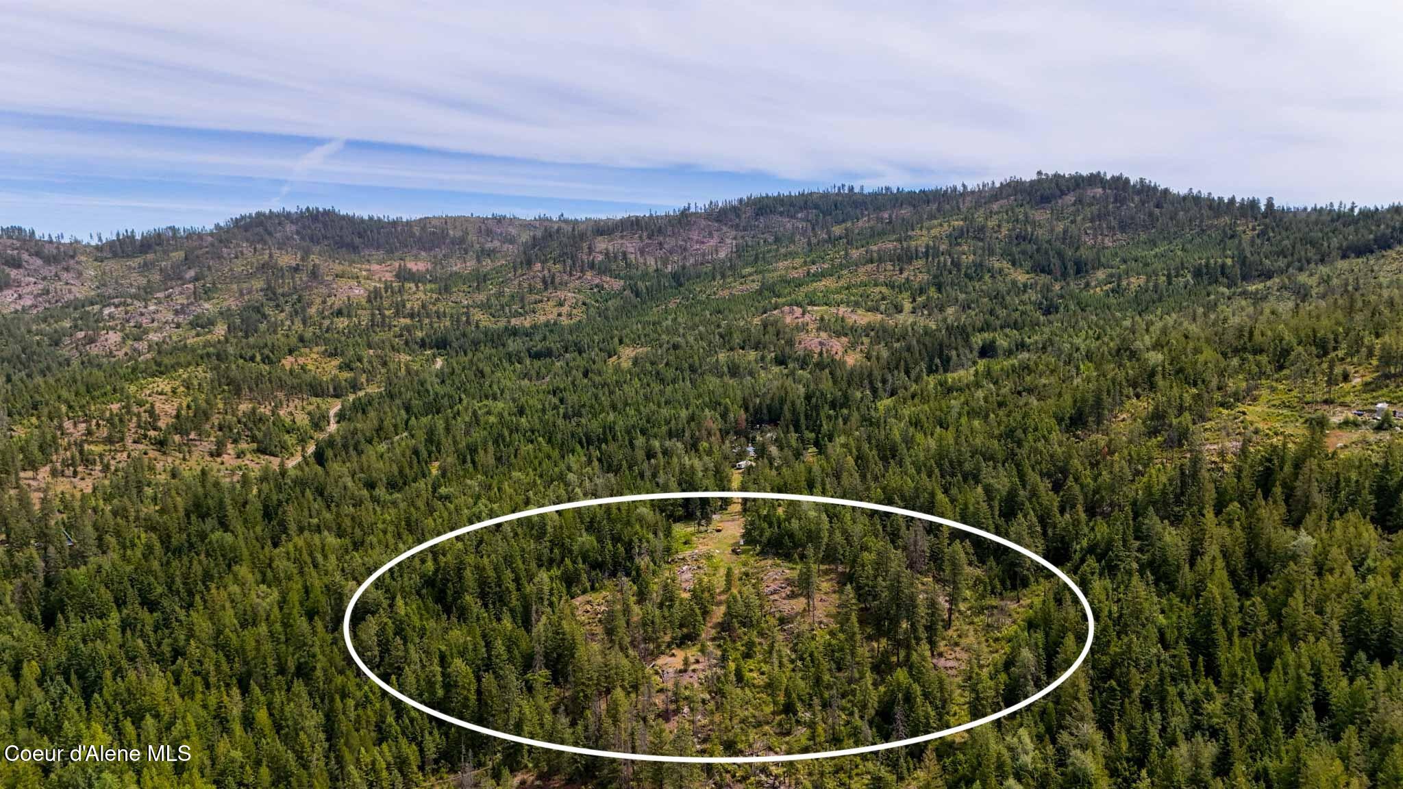 911 Otts Road Sagle, ID 83860 - Photo 7 of 10 7