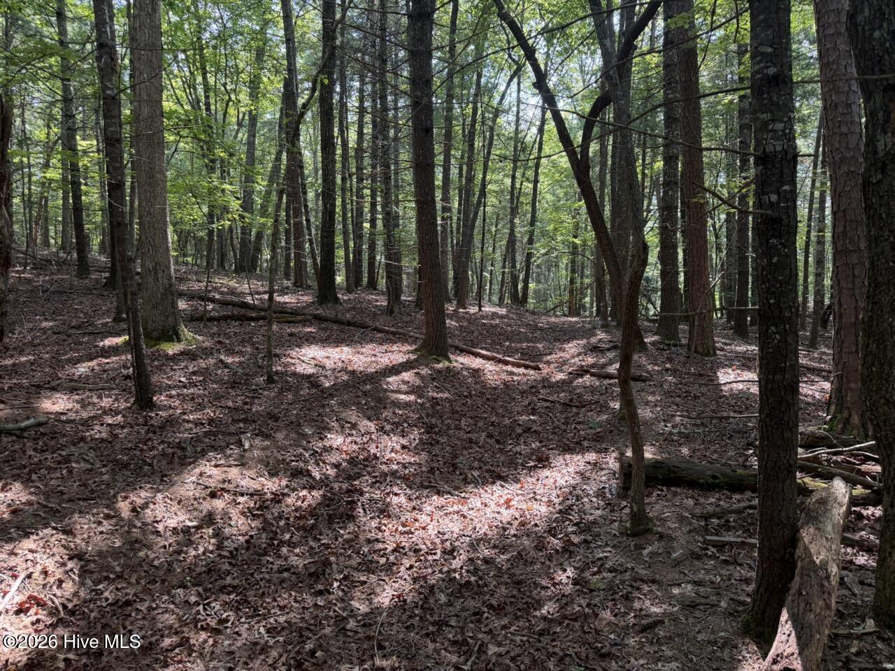 919 Panther Top Road Murphy, NC 28906 - Photo 10 of 14 Gallery Image 10
