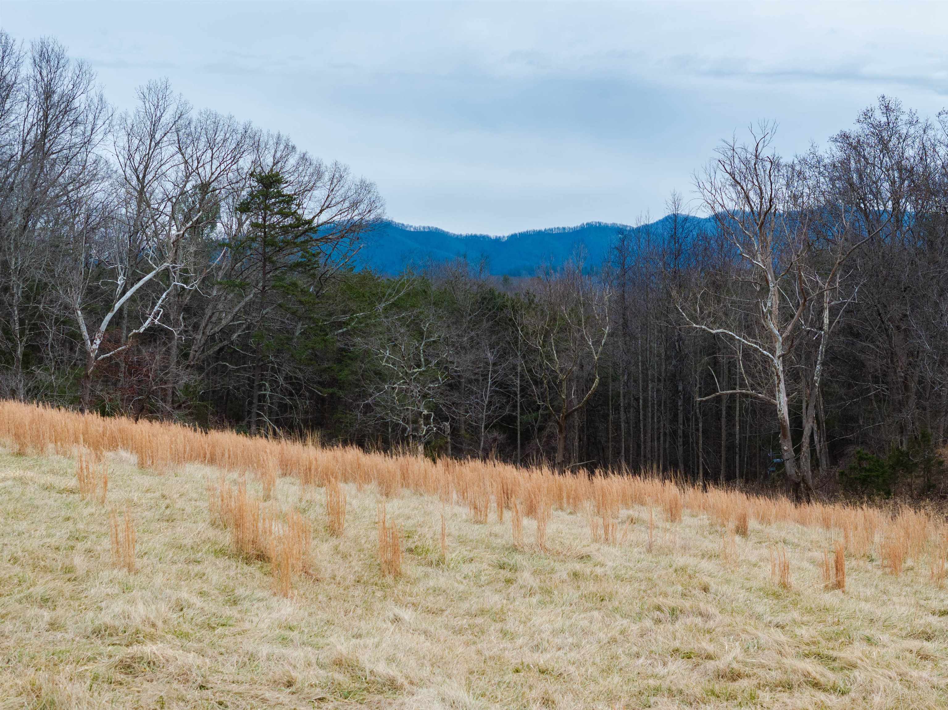 516 Slapp Creek Road Amherst, VA 24521 - Photo 62 of 75