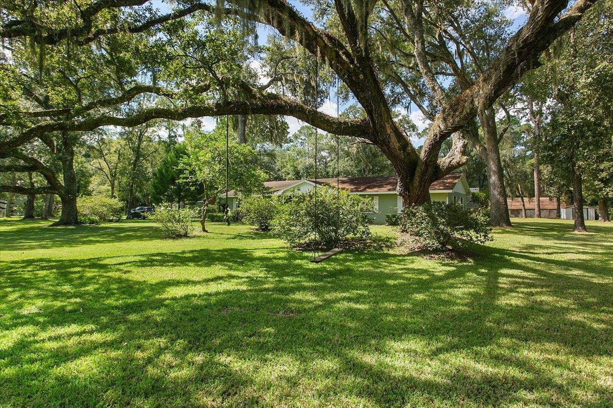 3351 Pacetti Road St. Augustine, FL 32092 - Photo 22 of 24 a view of a trees in a yard