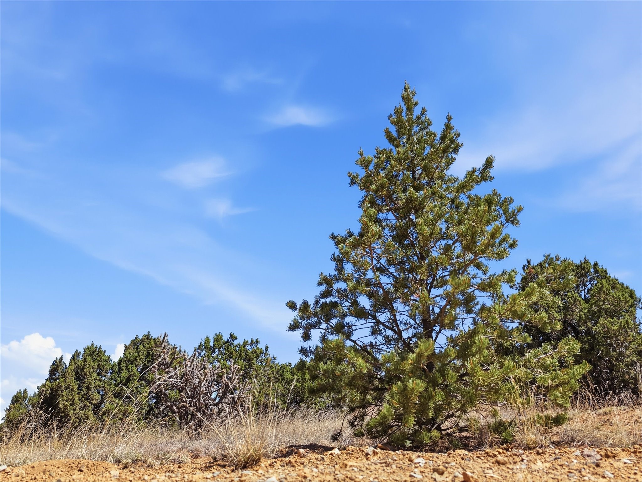 23 Black Canyon Road Santa Fe, NM 87508 - Photo 7 of 15