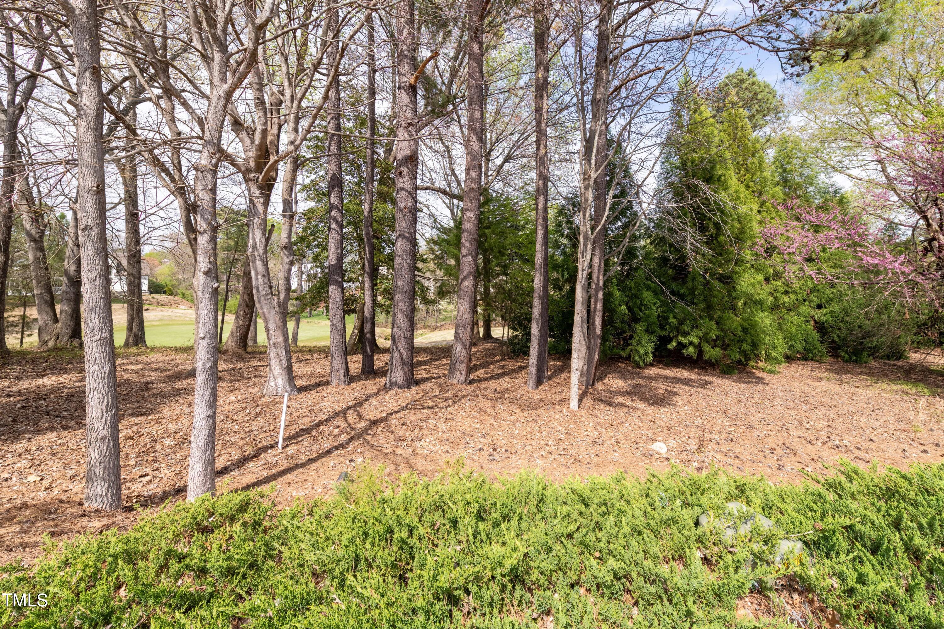 2705 Cypress Point Lane Raleigh, NC 27614 - Photo 31 of 36 031_Golf Course View