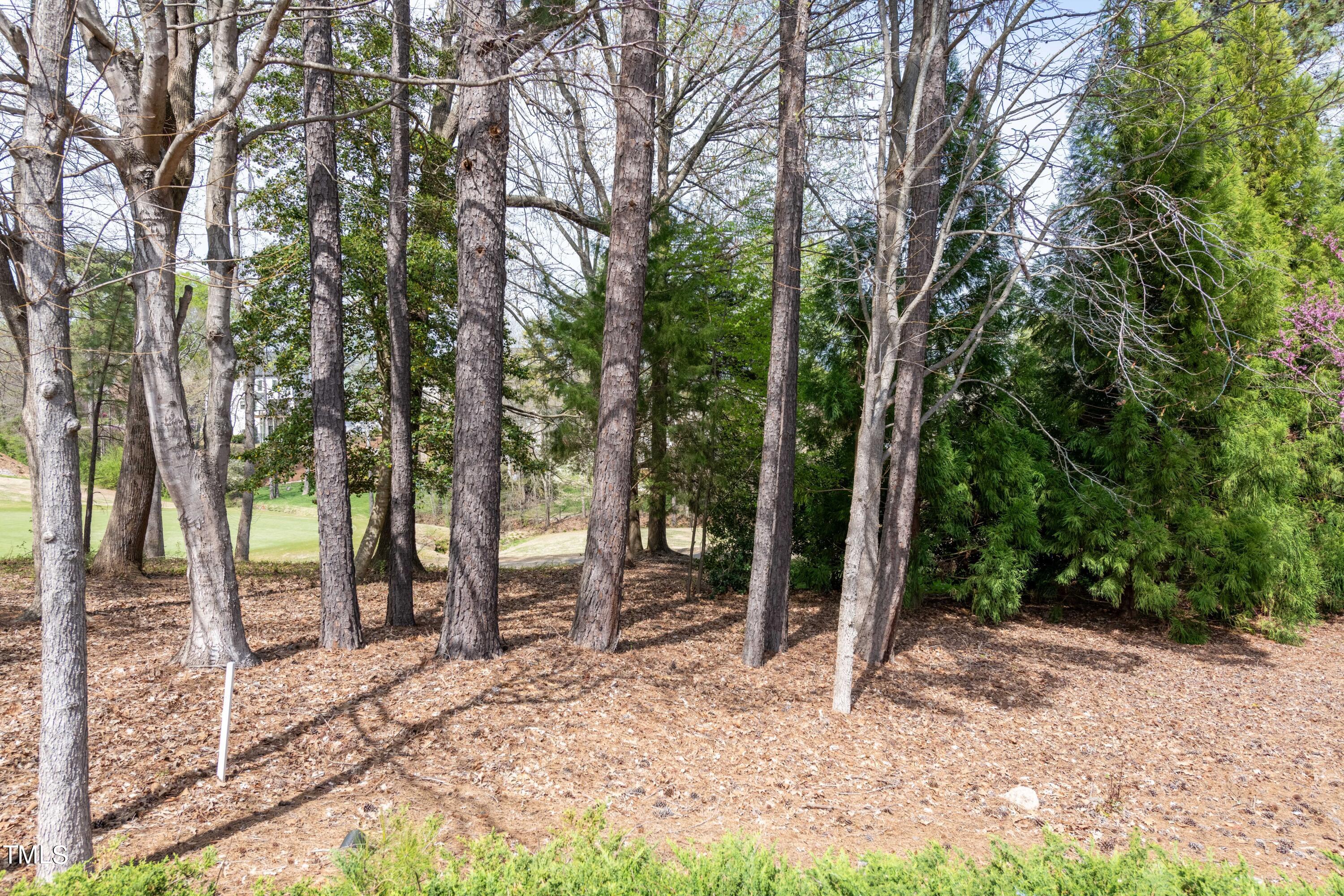 2705 Cypress Point Lane Raleigh, NC 27614 - Photo 32 of 36 032_Golf Course View