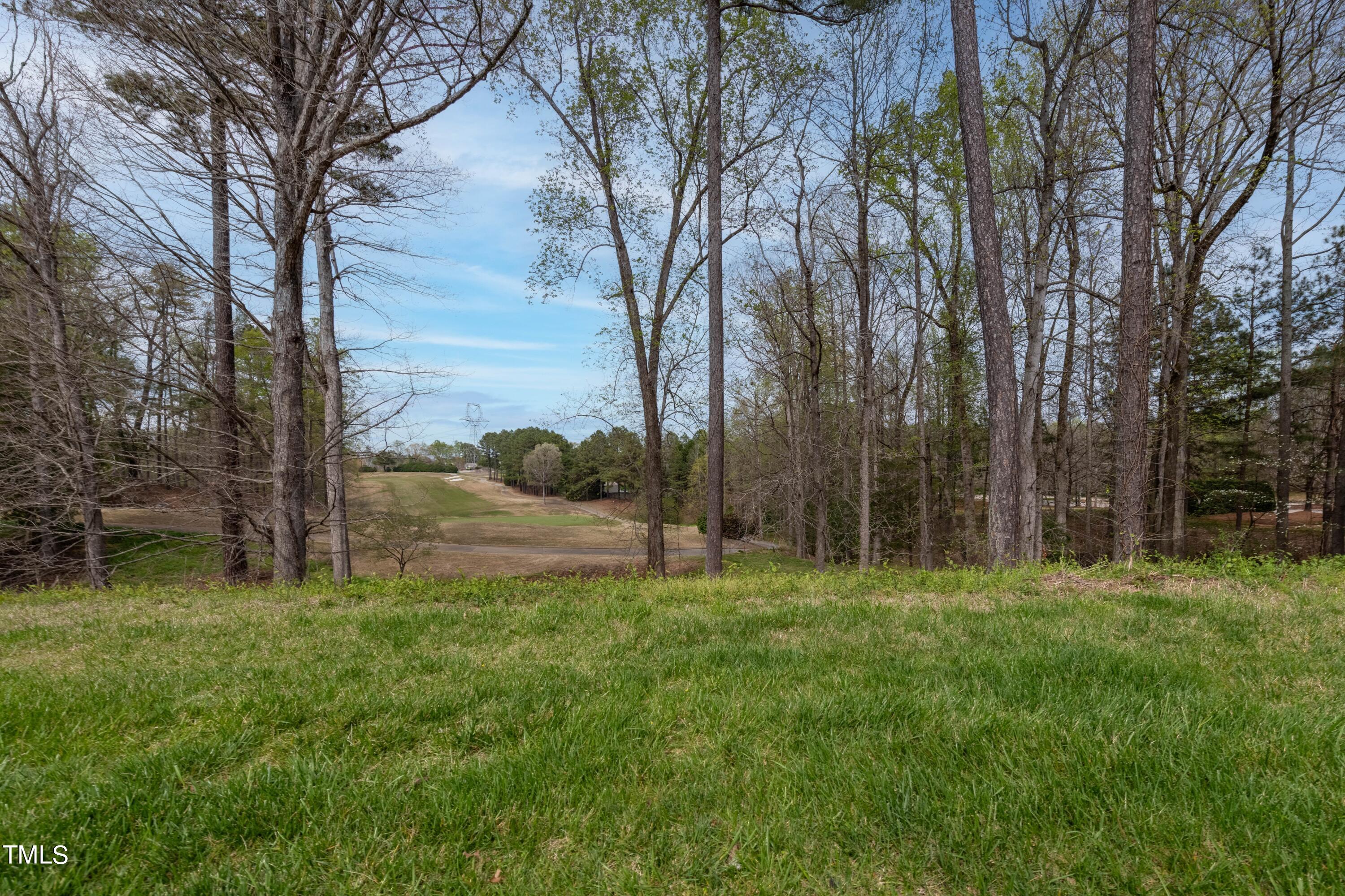 2705 Cypress Point Lane Raleigh, NC 27614 - Photo 35 of 36 035_Golf Course View