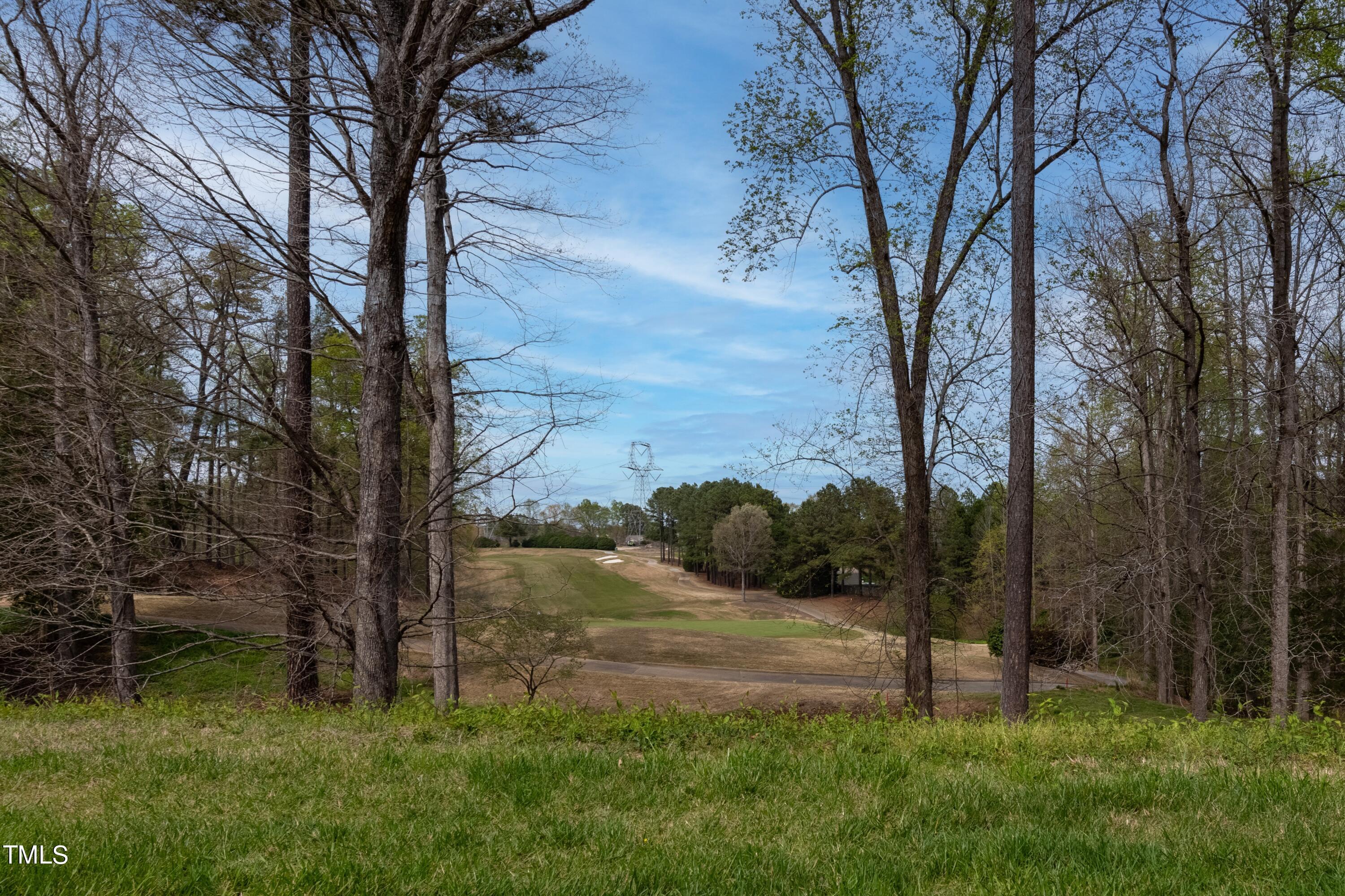 2705 Cypress Point Lane Raleigh, NC 27614 - Photo 36 of 36 036_Golf Course View