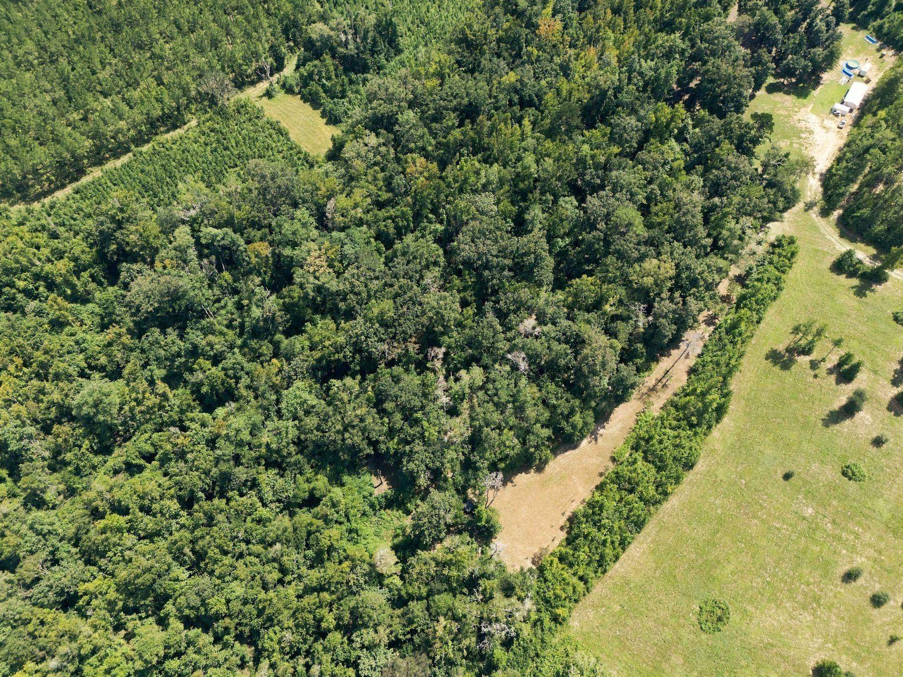 Lot 16 Johnny Road Lamont, FL 32336 - Photo 47 of 54 Gallery Image 47