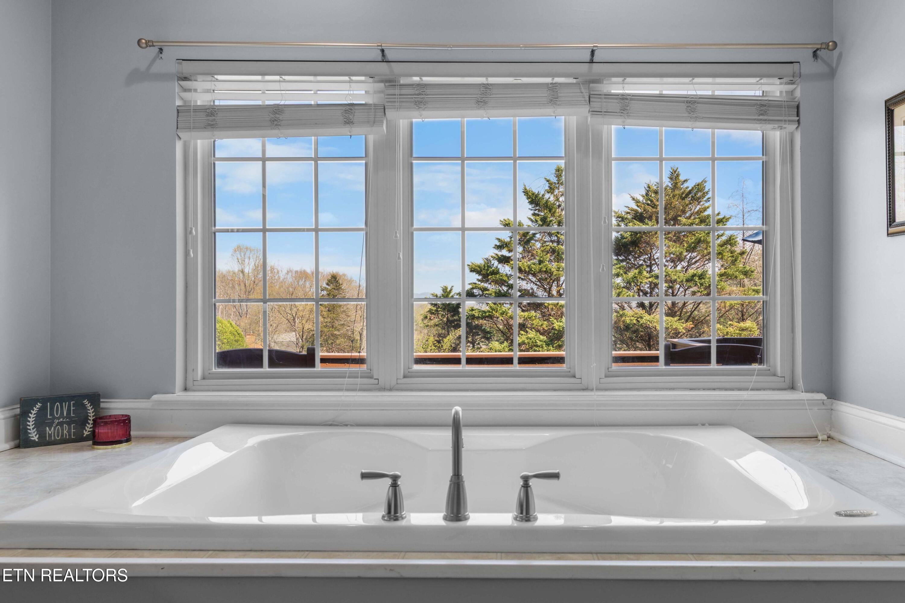 110 Lower Clear Creek Road Andersonville, TN 37705 - Photo 23 of 48 030A5499